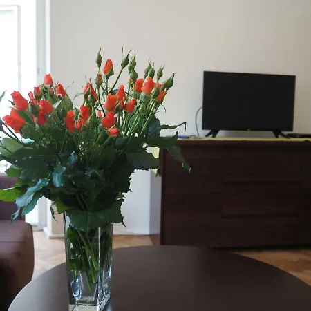 Apartament W Srodmiesciu