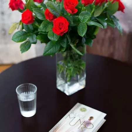 Apartament W Srodmiesciu Apartment Krakow